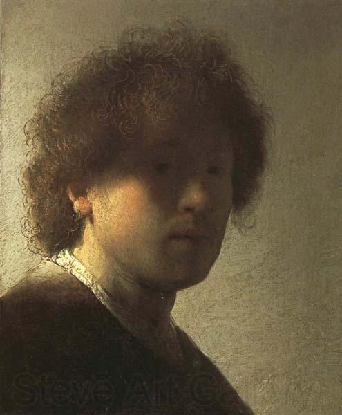 Rembrandt van rijn Self-Portrait as a Young Man Norge oil painting art